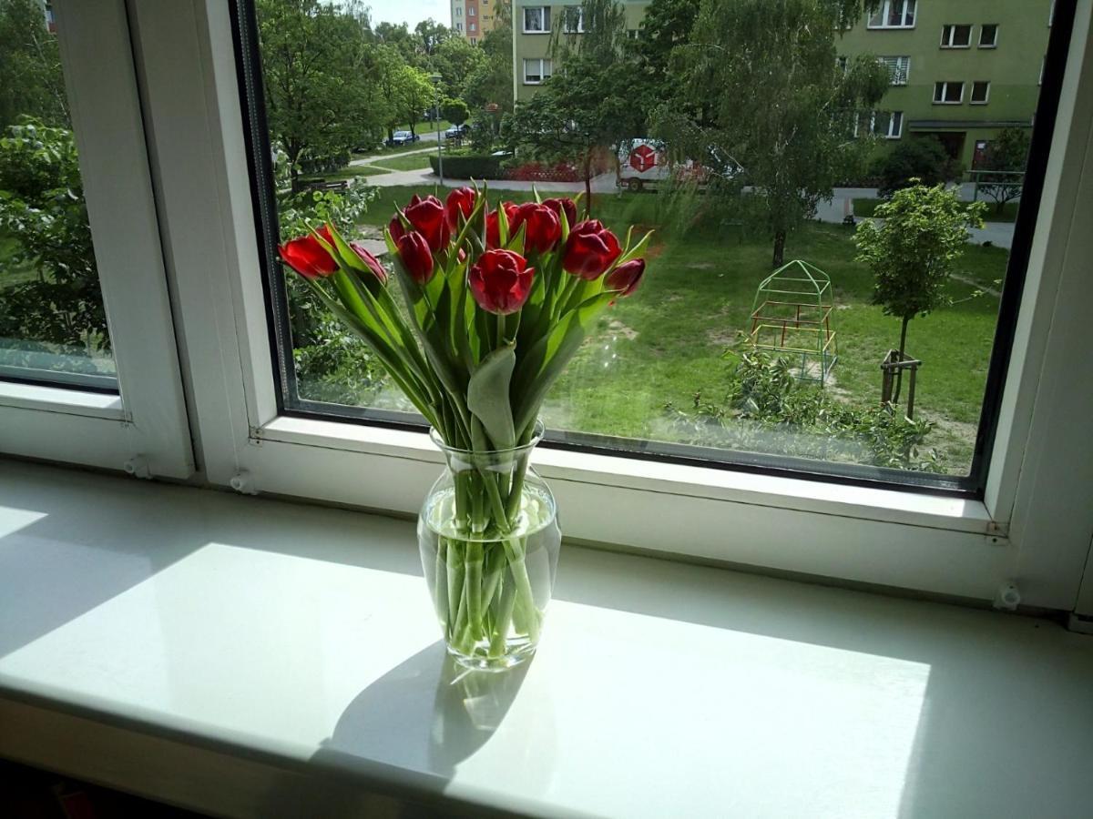 Apartament Usmiech Płock Exteriör bild