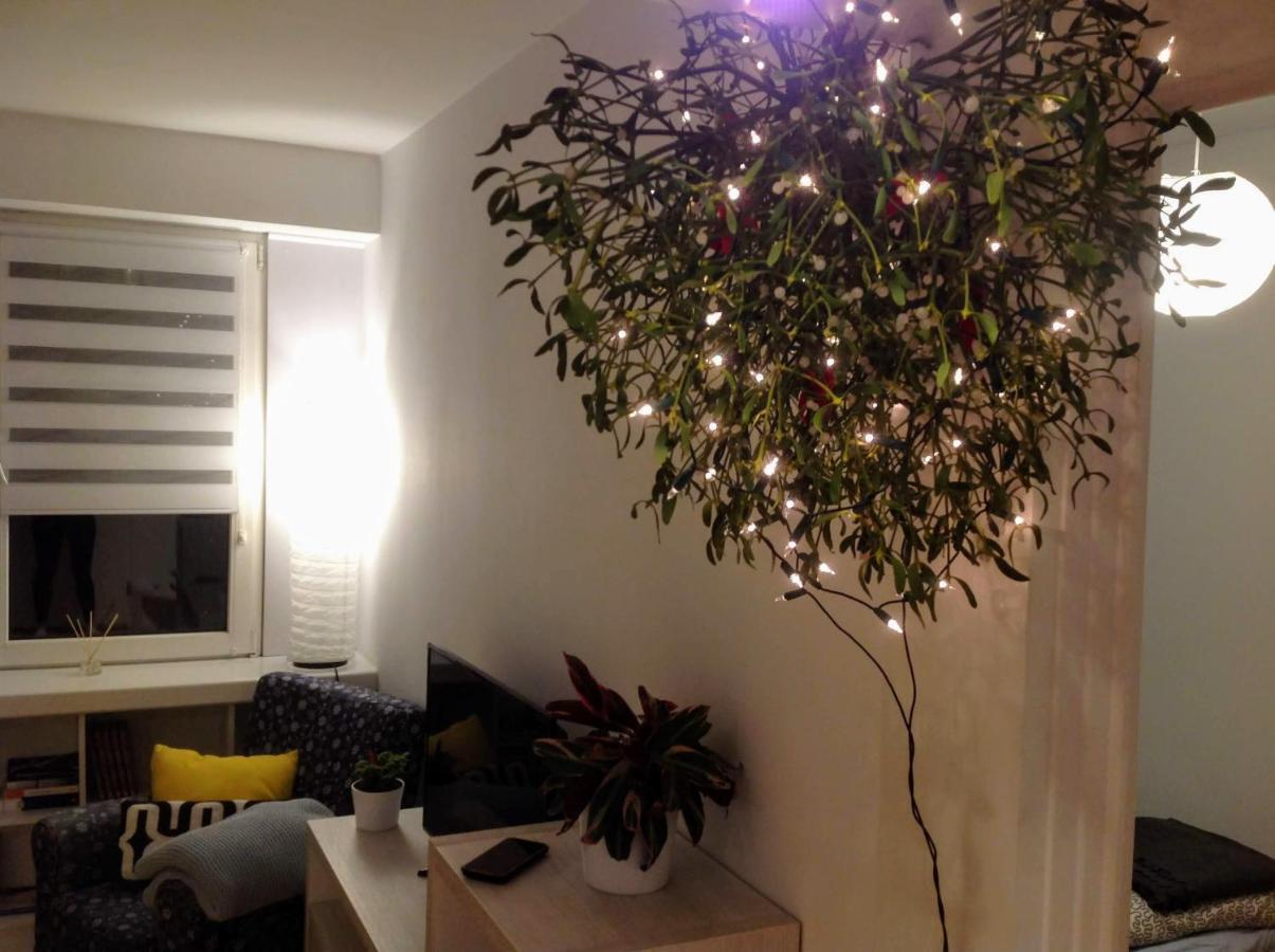 Apartament Usmiech Płock Exteriör bild